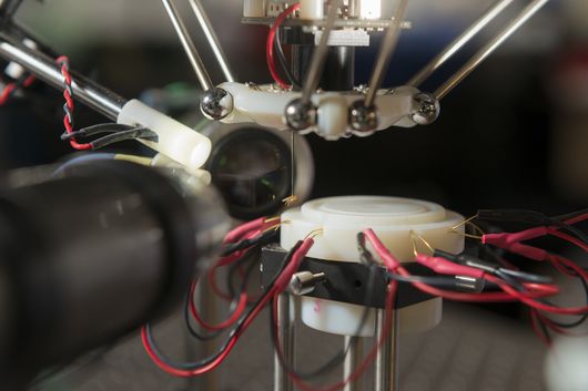 斯坦福大学研发机器人“绑架”果蝇