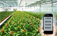 中国智慧农业新型全产业链模式分析