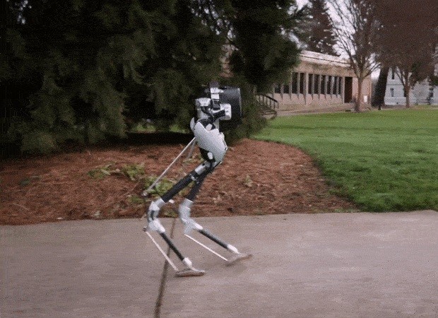 炫酷科技 双足机器人送快递无人机为植物授粉