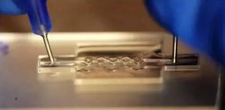 3D打印技术制备生物医用高分子材料的研究进
