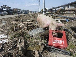 日本福岛核泄漏地区现状揭秘(图)