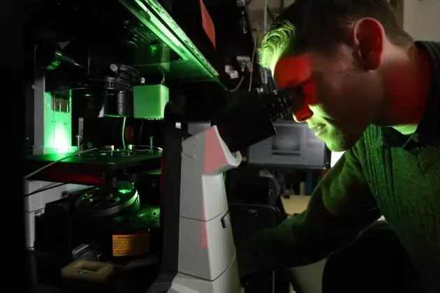 Nature：科学家用钻石打造磁共振影像显微镜