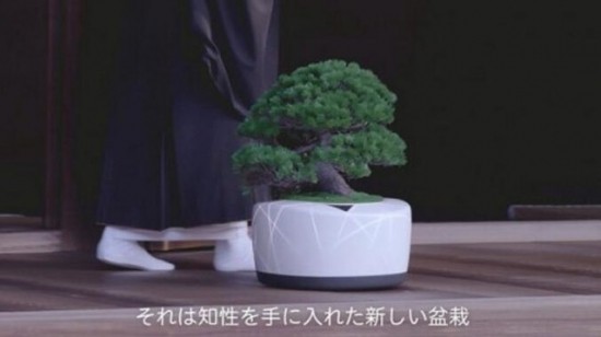 日本惊现黑科技 一个盆栽居然能和人聊天