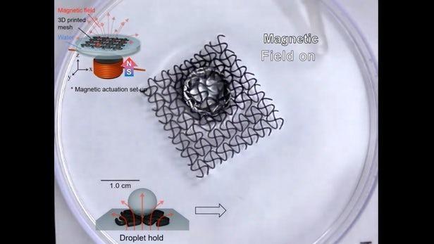 3D打印磁性网格“机器人”可浮动、弯曲和按需抓取