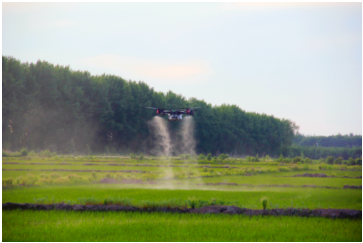 夏季稻田要除草，极飞用户有妙招