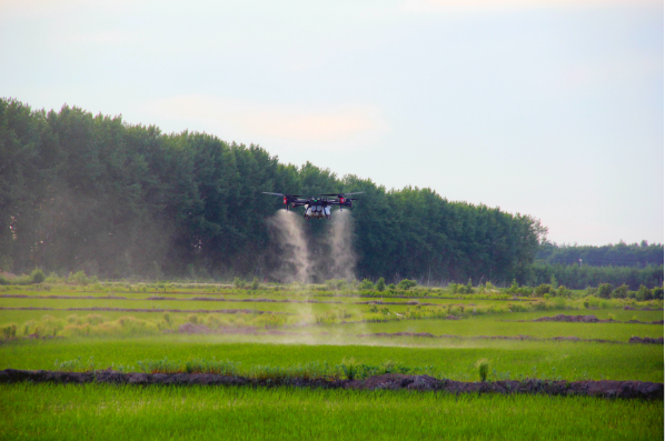 夏季稻田要除草，极飞用户有妙招！