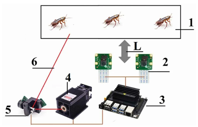 科学家发明激光AI装置，可在1.2米内准确探测和压制蟑螂