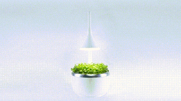 总是种不好植物？请试用这些LED植物生长灯！