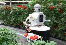 吴恩达都在做，AI农业到底有什么魔力？