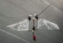 荷兰大学研制动作机敏的扑翼机器人