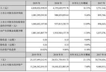 兴蓉环境2019年财务报告分析
