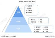 2021中国膜产业竞争现状及市场分析