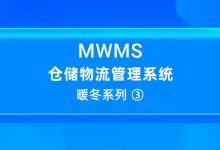 MWMS 暖冬系列③：仙工智能 MWMS 如何实现高度差异化和复杂的仓储物流业务？